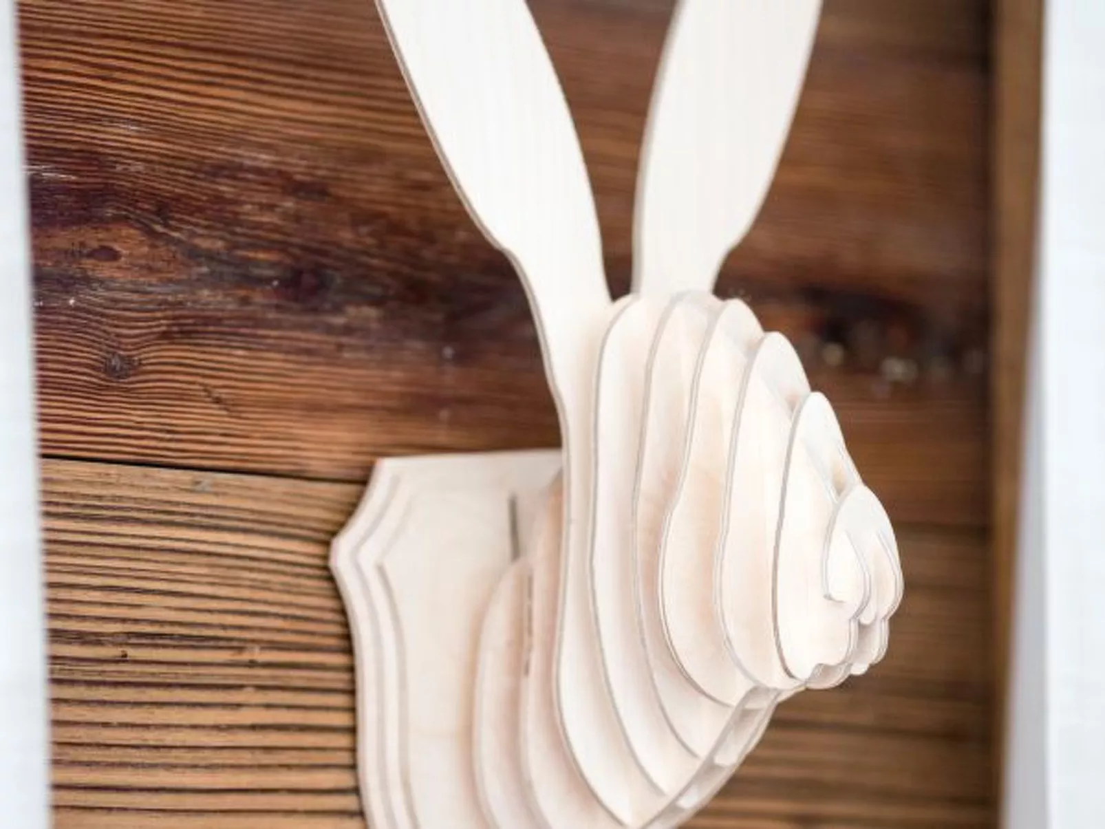 Grimpeur luxury duplex, Spa Access Front Telecabin - Dedans