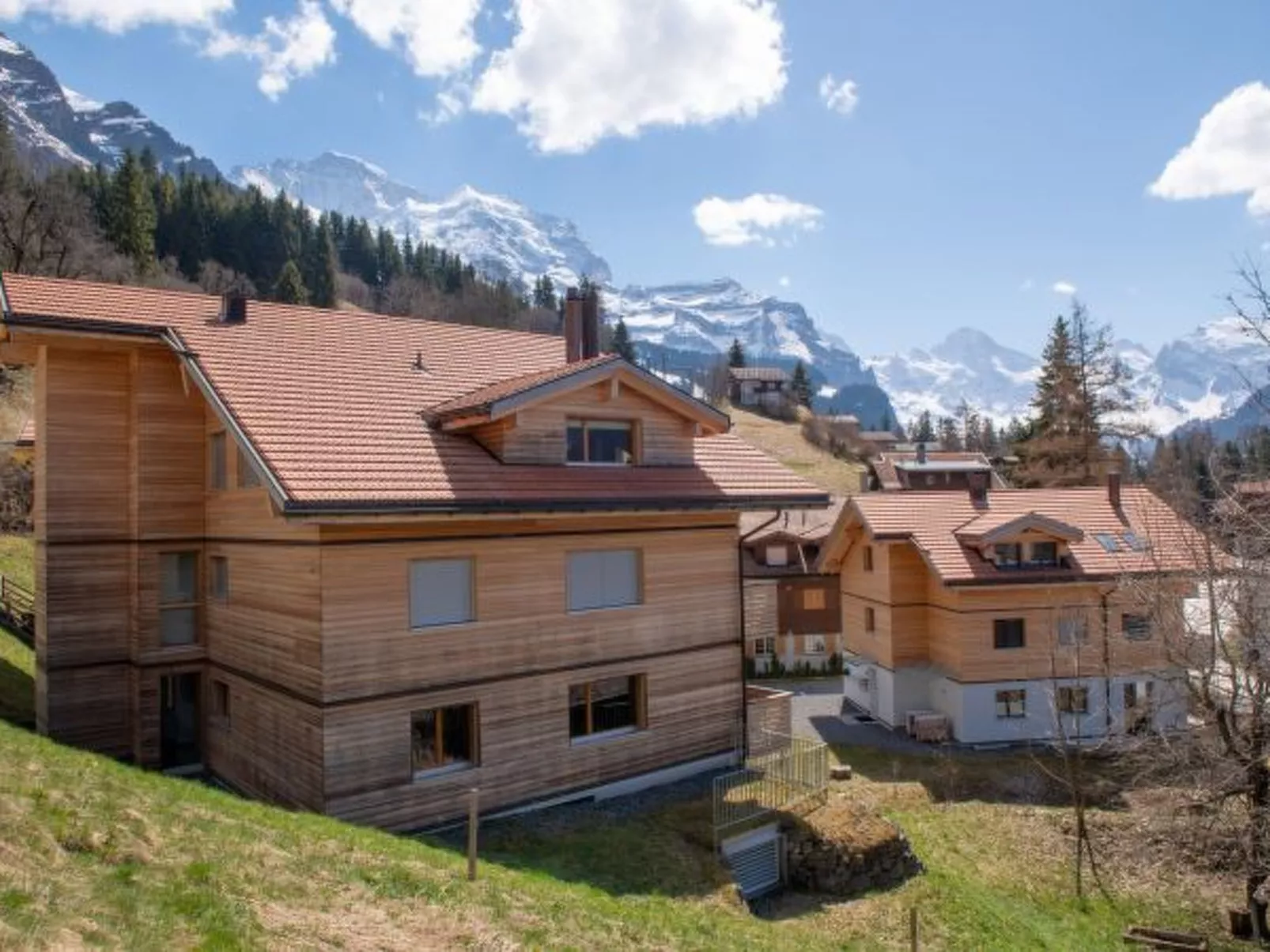 Chalet Mönchsbüffel - Outside