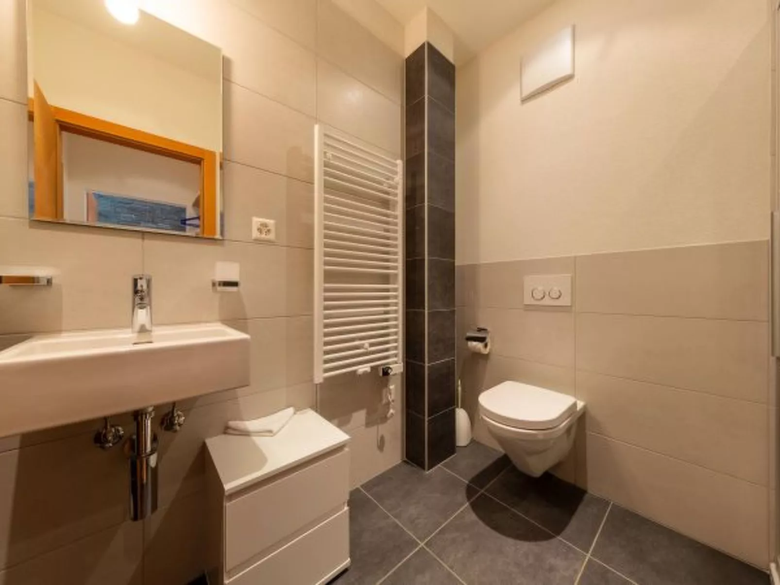 Au pied des pistes à Siviez Rosablanche D 204B - Inside