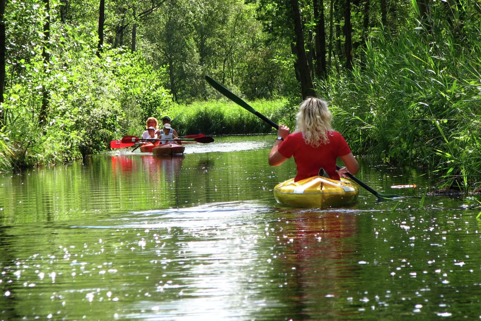 Residence De Eese 35-Gebiete Sommer 20 km