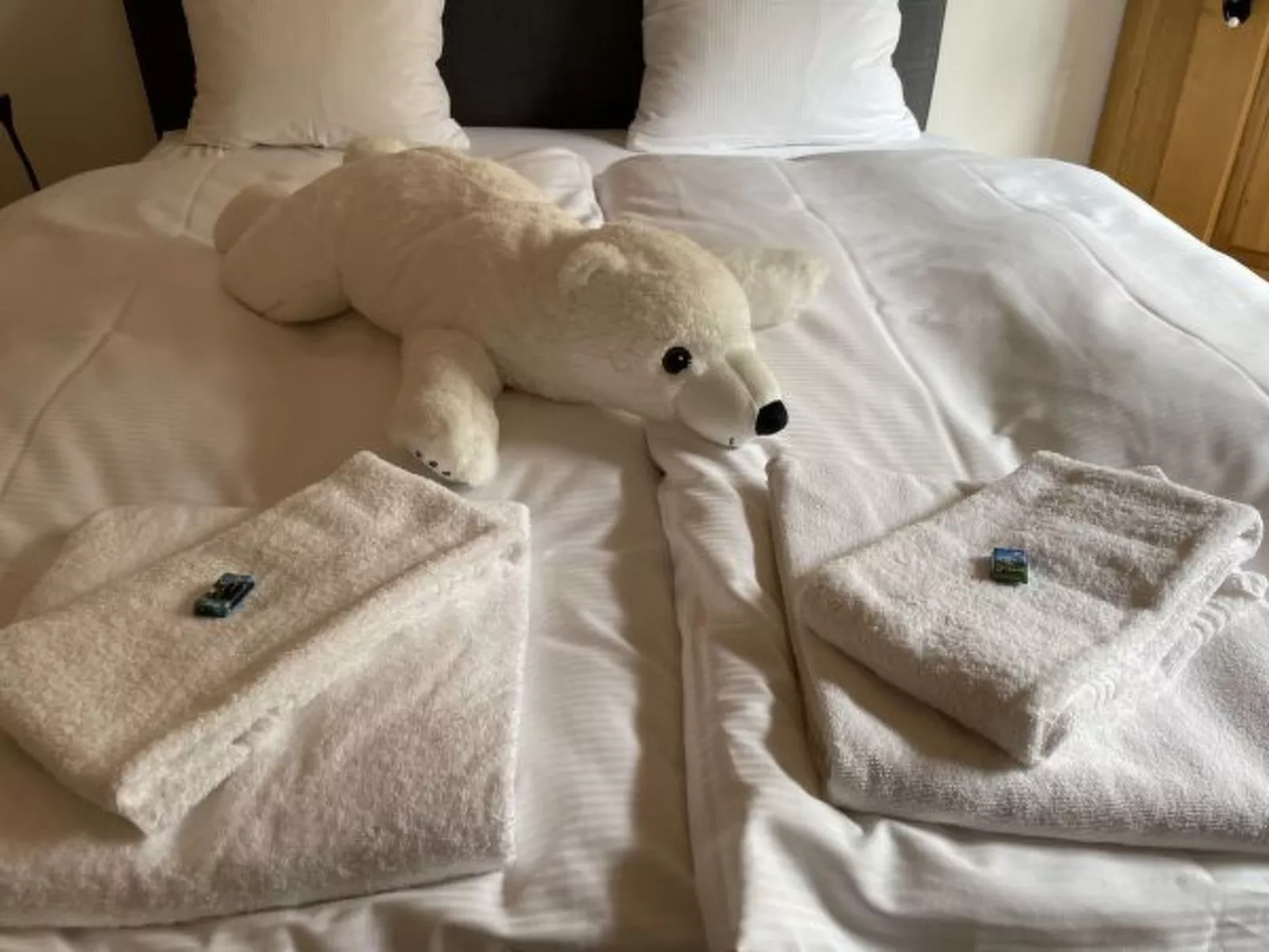 Appartement Nendaz Chardon Bleu - Inside