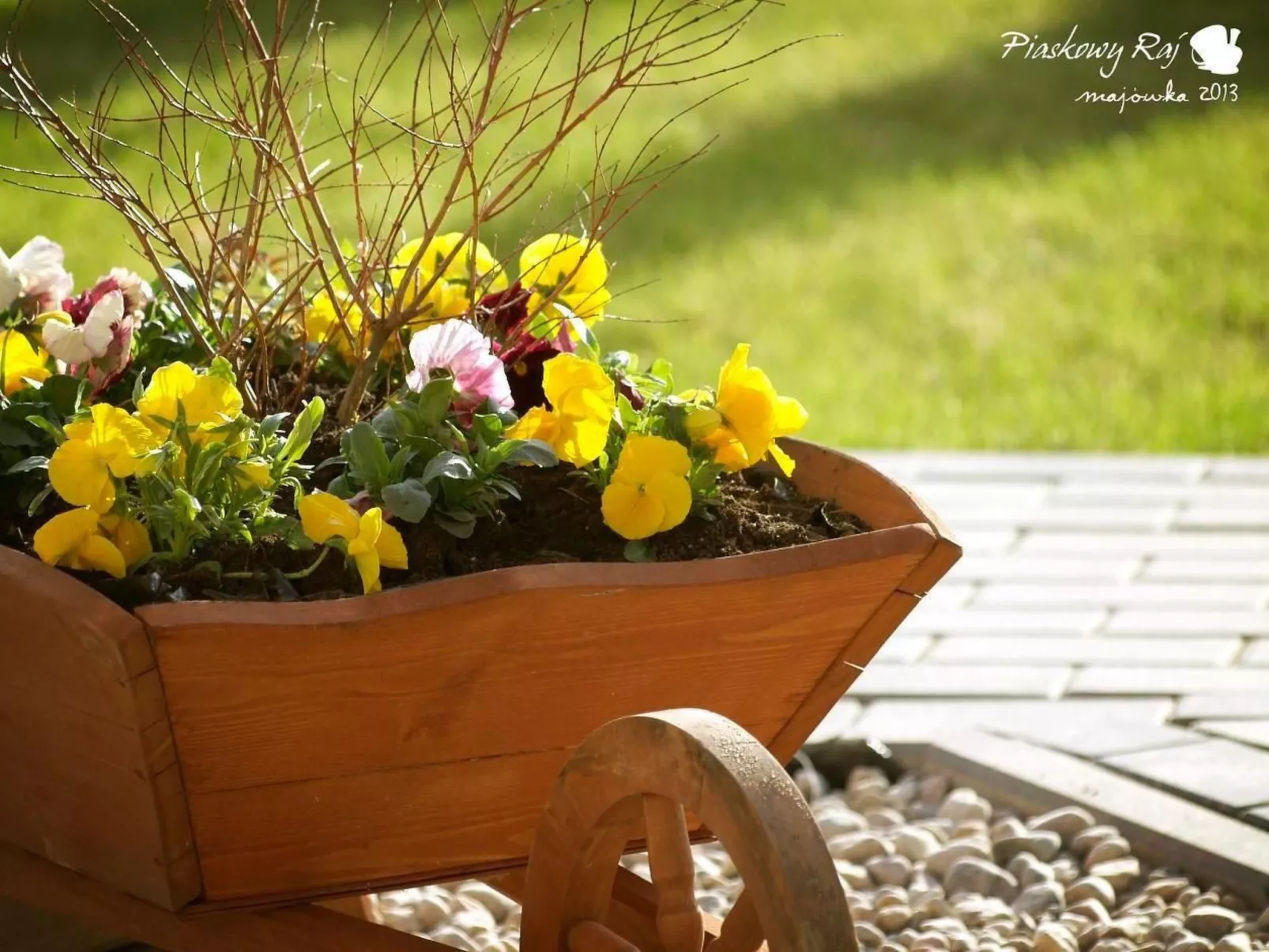 "Ferienwohnung" mitten im Grünen - Draußen