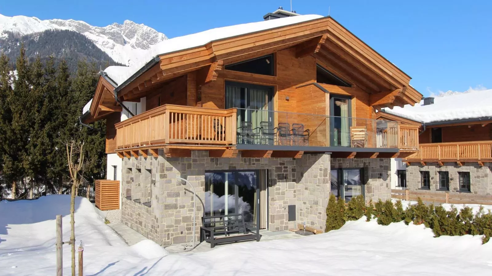 Chalet Schneelöwe XL-Exterior winter