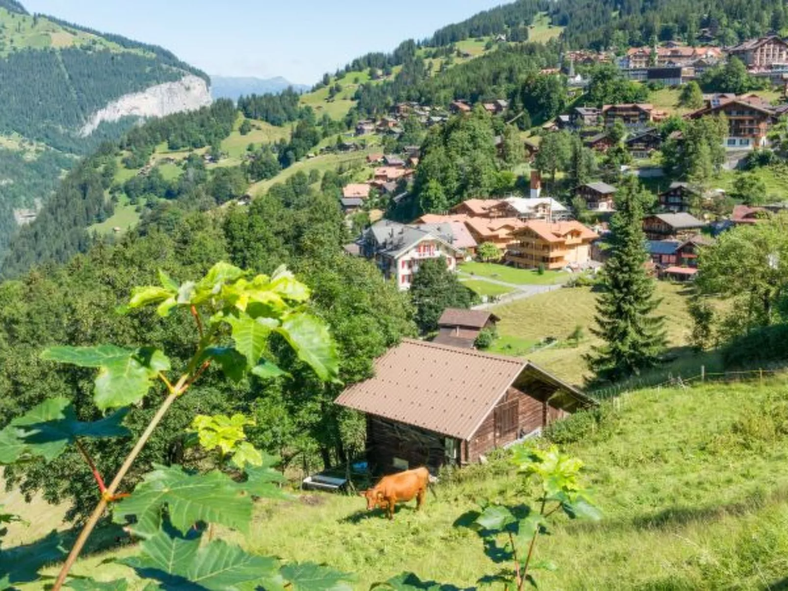 Panoramapark Soleil Bietenhorn - Draußen