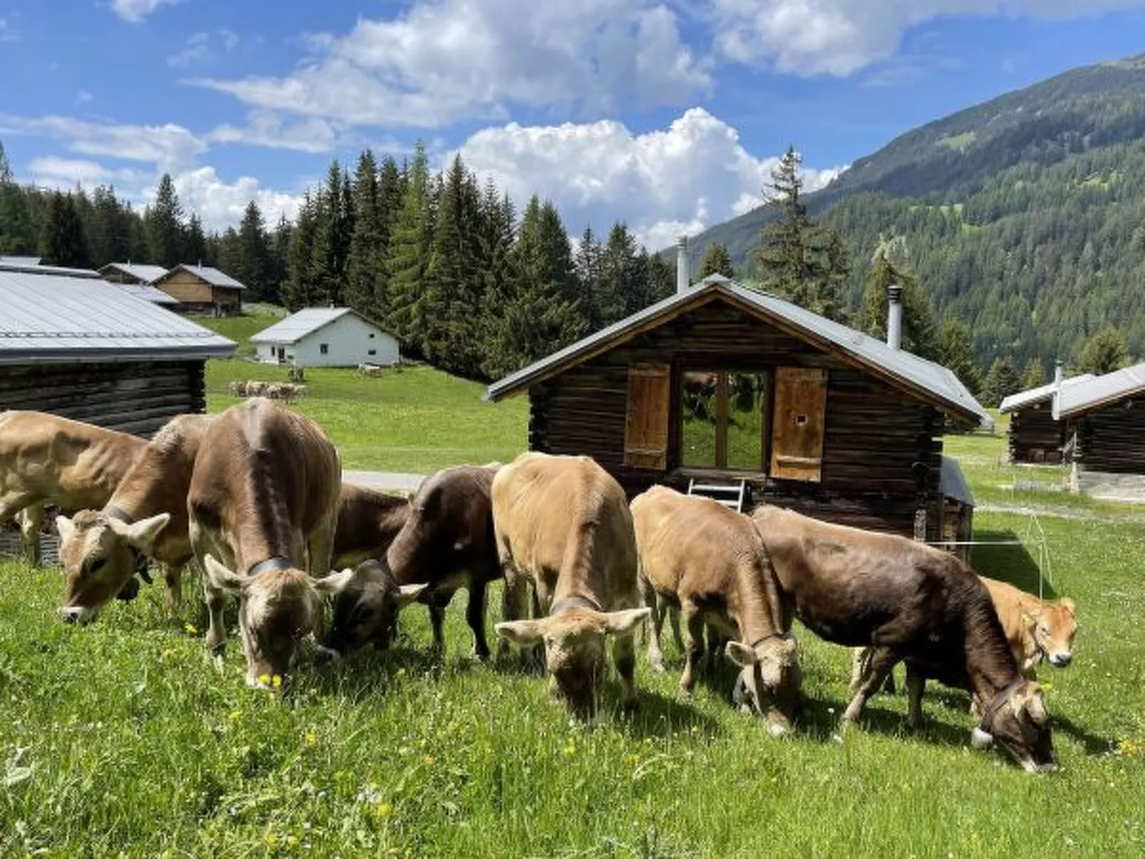 Alphütte-Maiensäss Got Spess Lenzerheide - Outside