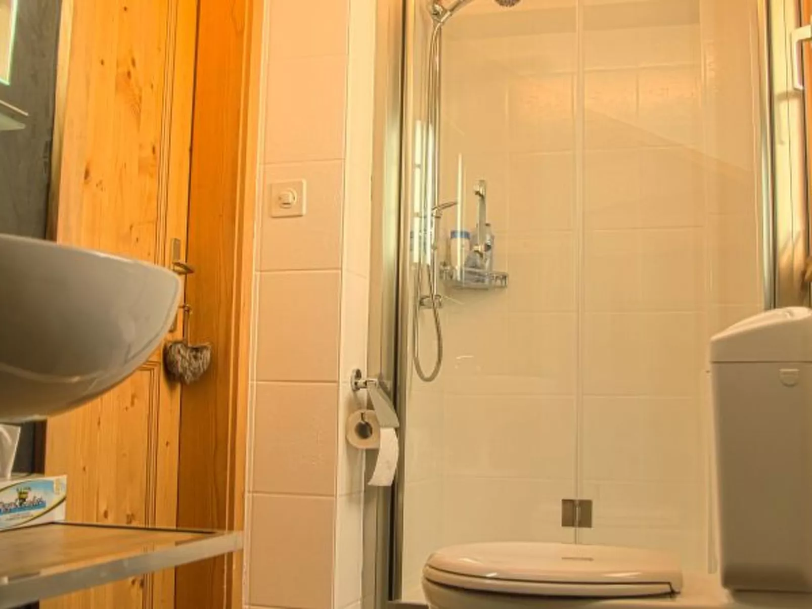 Chalet Mon Sousou Nendaz 4 Vallées - Drinnen