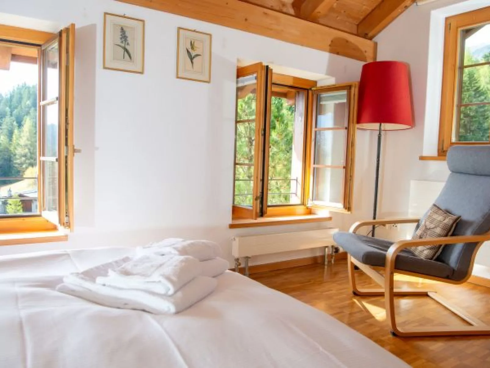 Ski in & Ski out Alphütte-Maiensäss Acla Pala Lenzerheide - Dedans