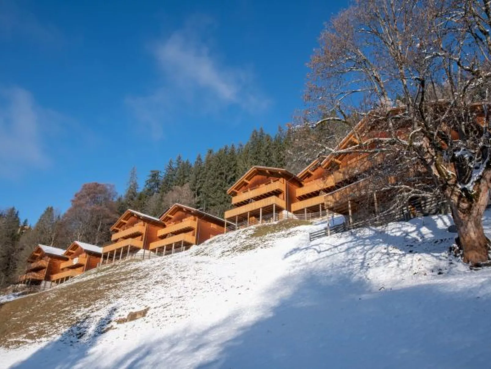 Racers Retreat 10 - Dehors