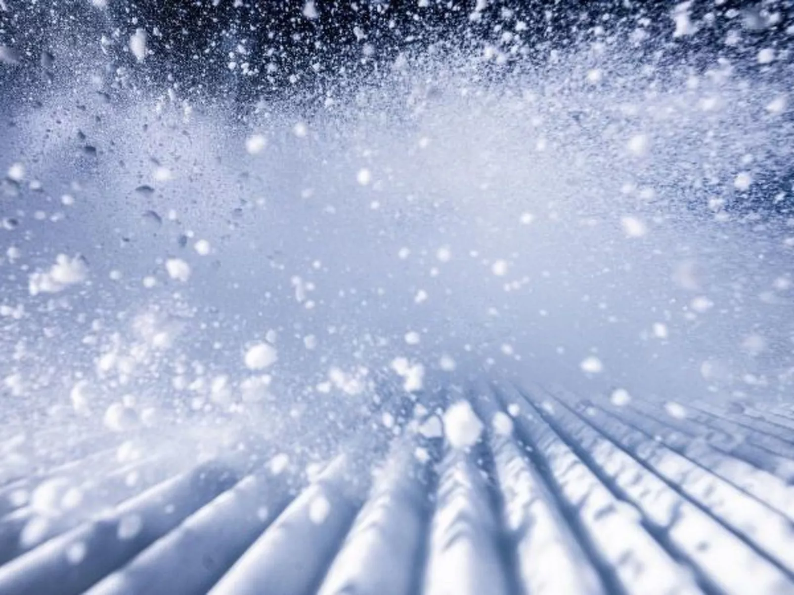 Casa  Zappaterra - Dehors