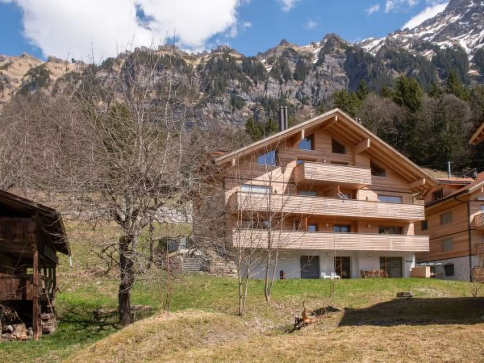 Chalet Mönchsbüffel - Outside