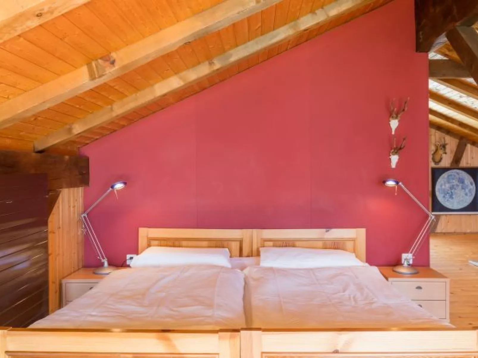 Panorama Salums - Dedans