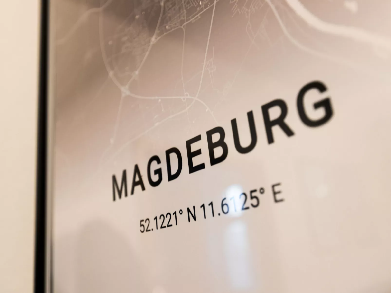 Scandinavian Business Apartment - Drinnen