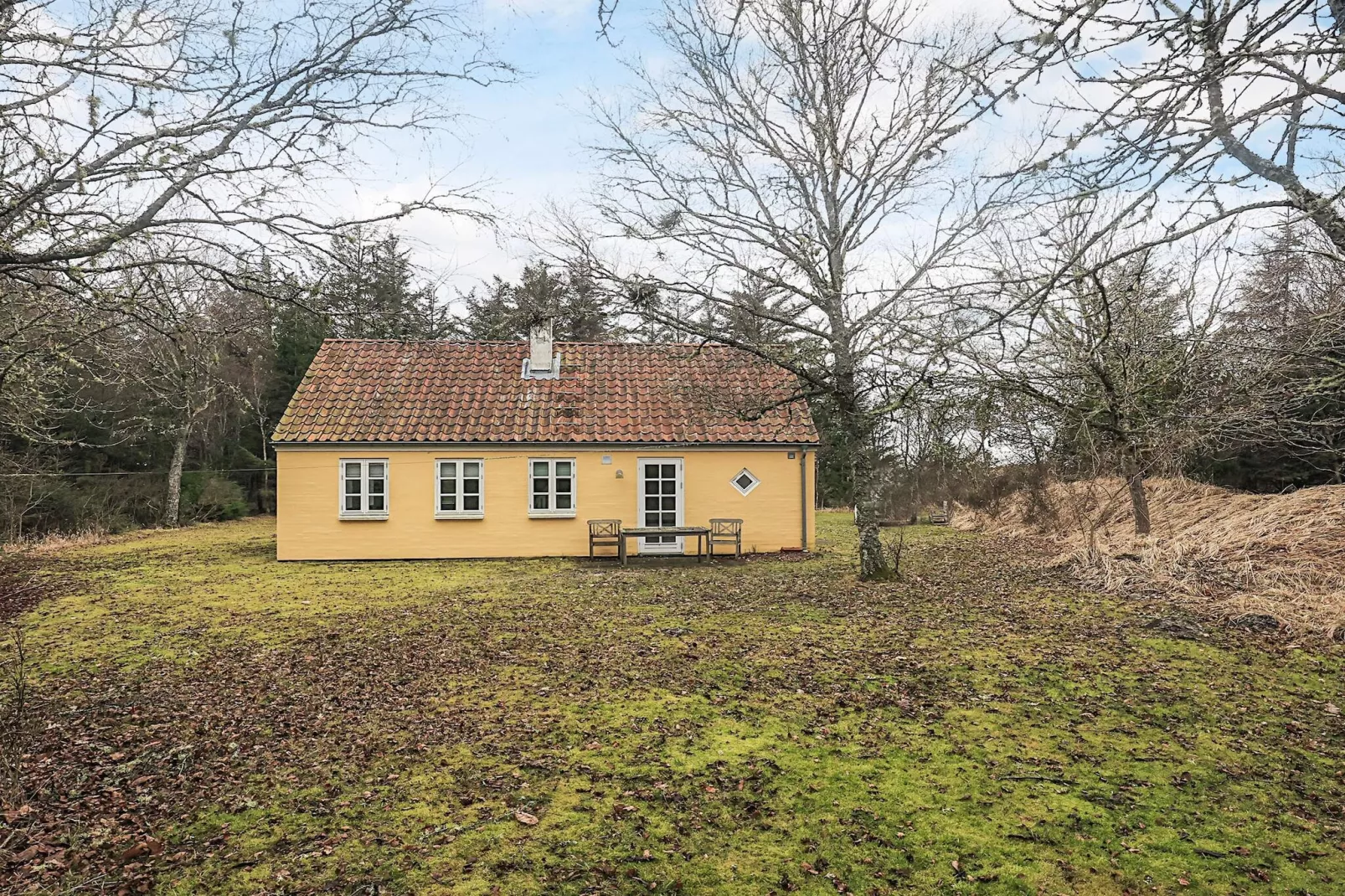 5 Sterne Ferienhaus in Skagen - Aussicht