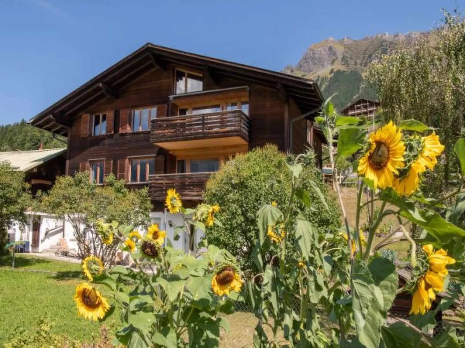 Chalet Iris - Outside