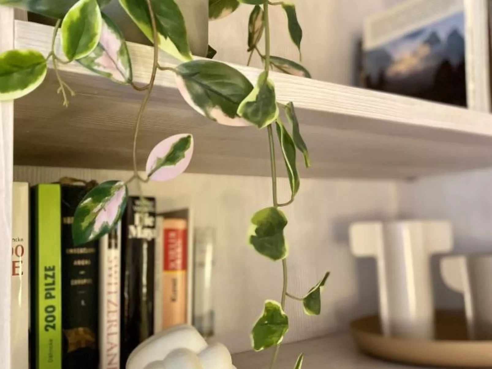 Rancho 445 - Drinnen