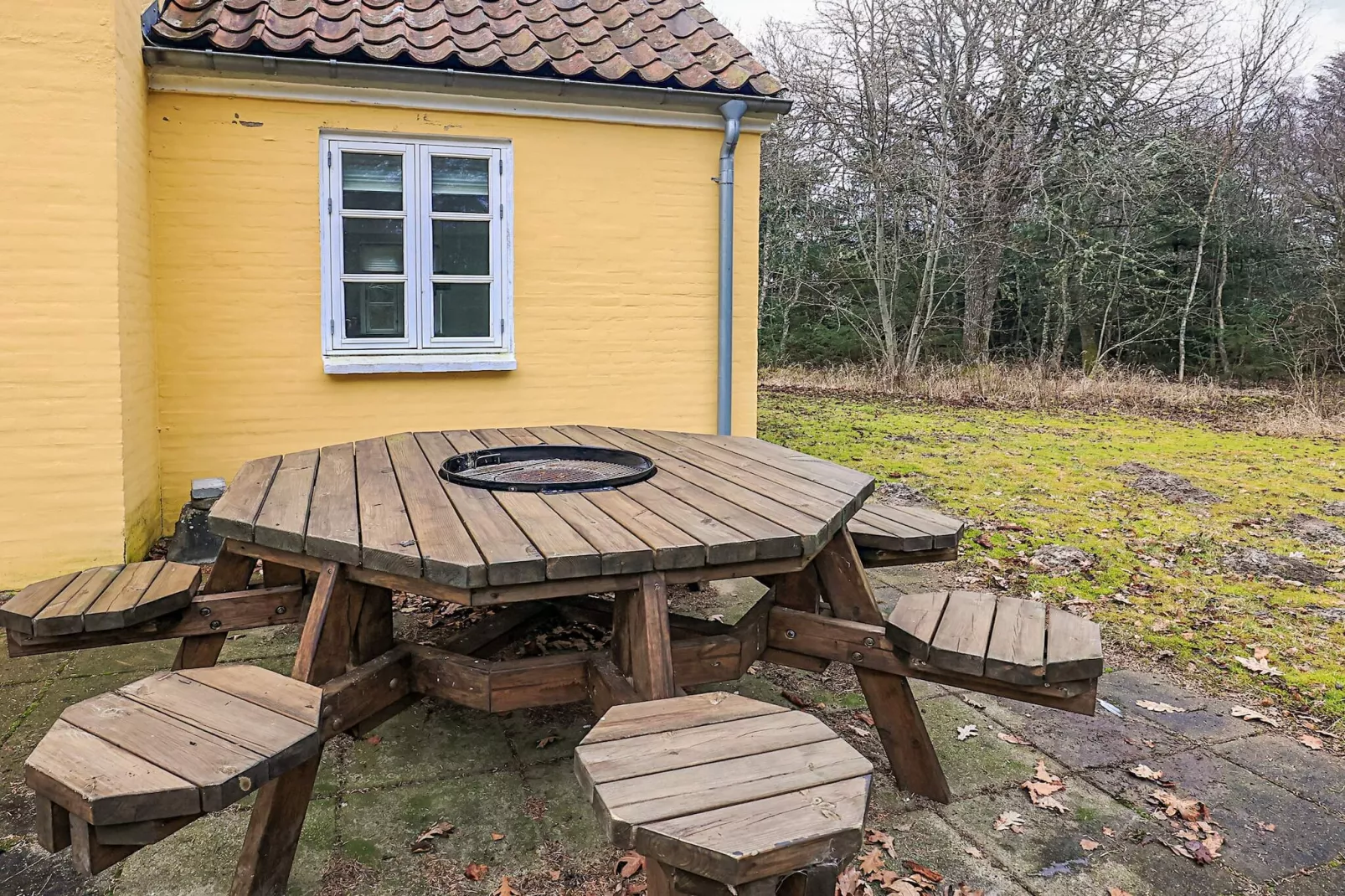 5 Sterne Ferienhaus in Skagen - Aussicht