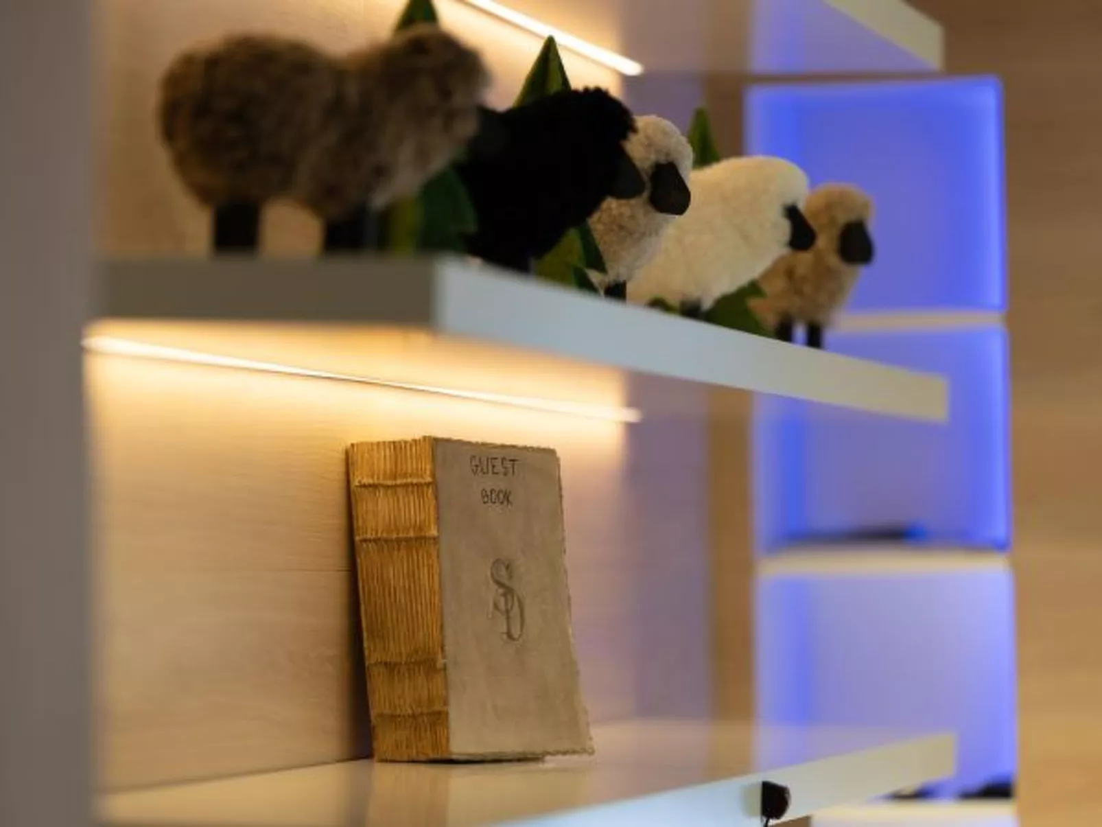 Ecluses 7 - Nendaz centre & close to ski lift - Drinnen