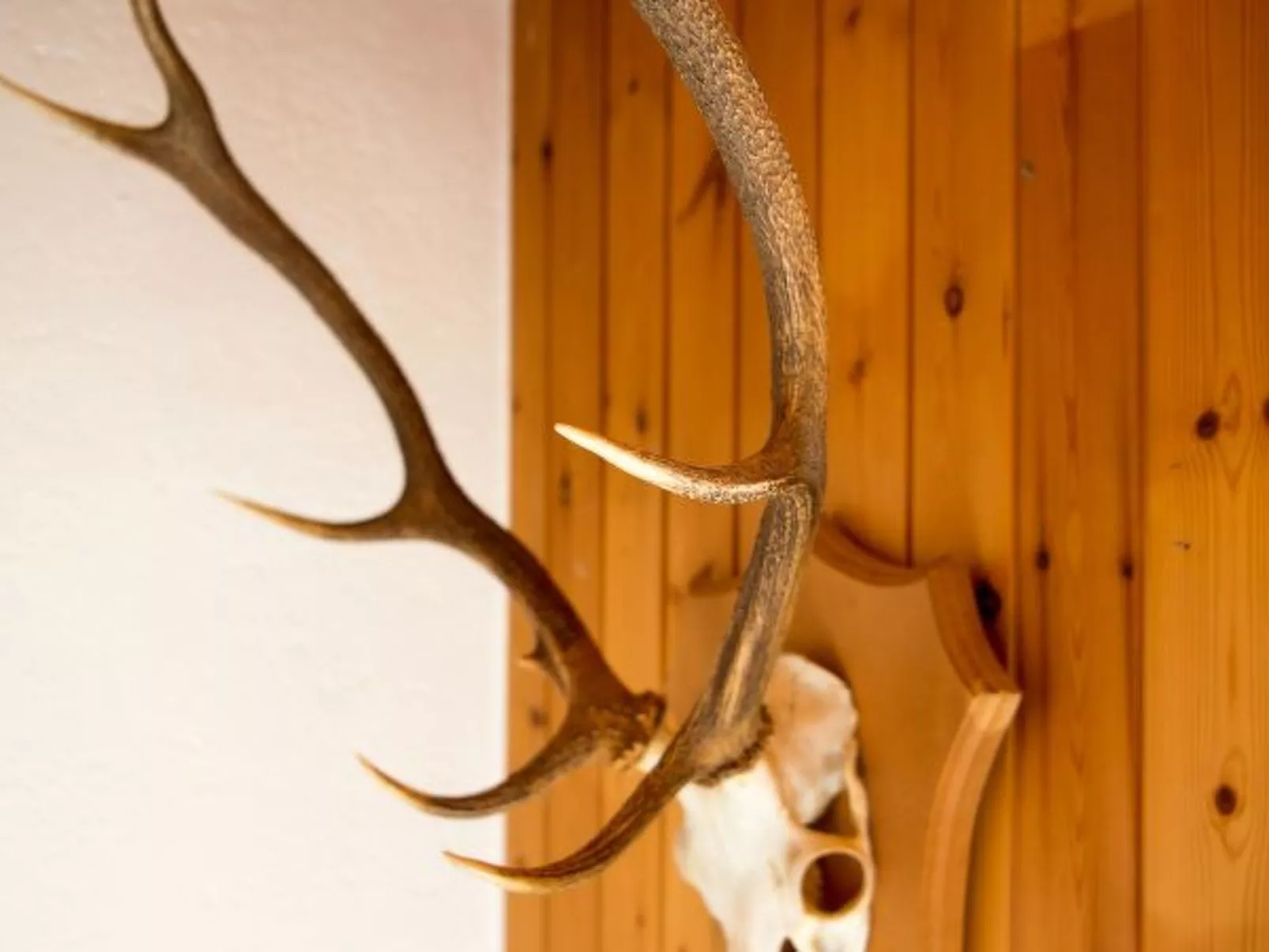 Haus Schmitten - Davos - Dedans