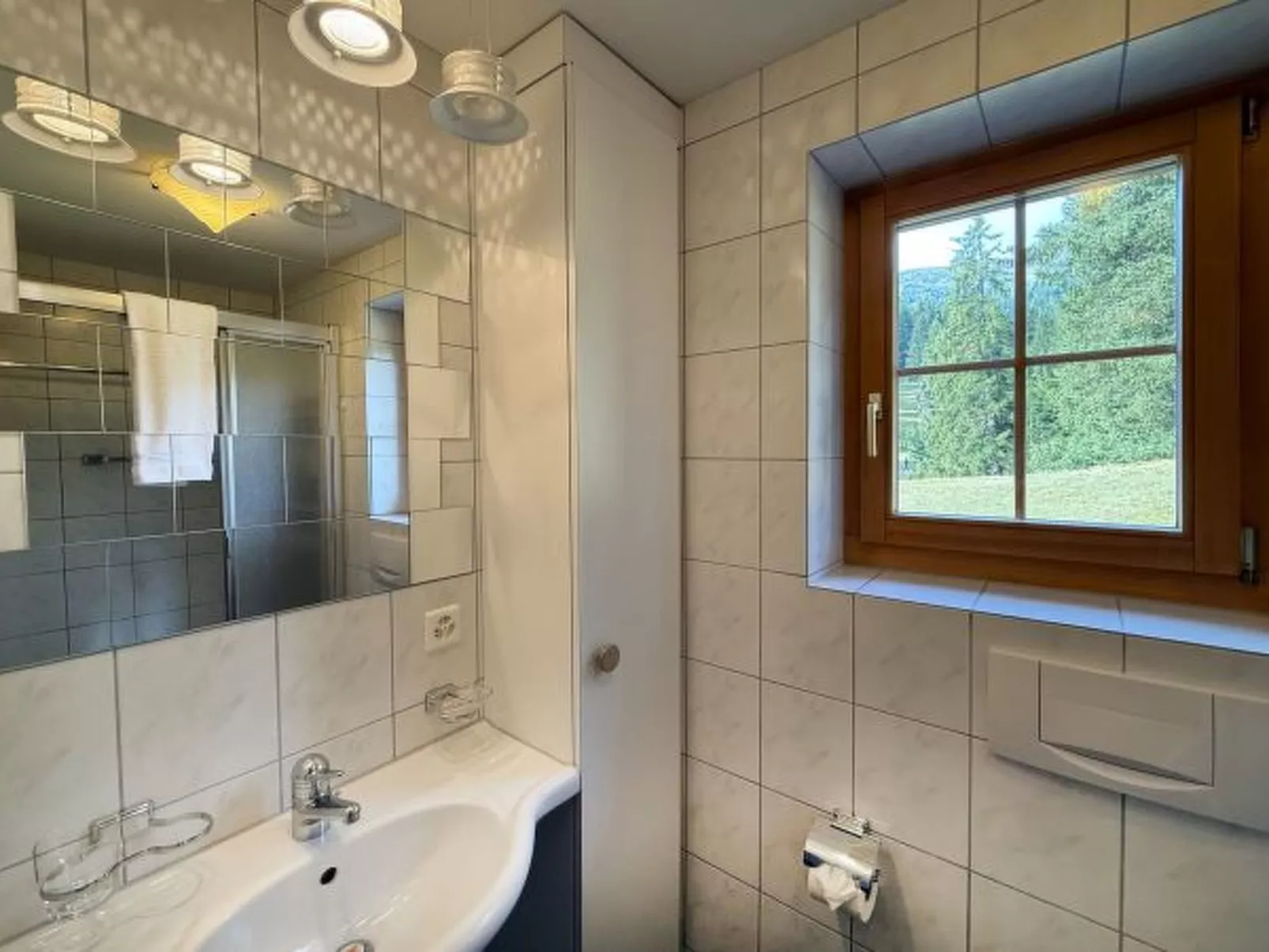 Ski in & Ski out Alphütte-Maiensäss Acla Pala Lenzerheide - Dedans