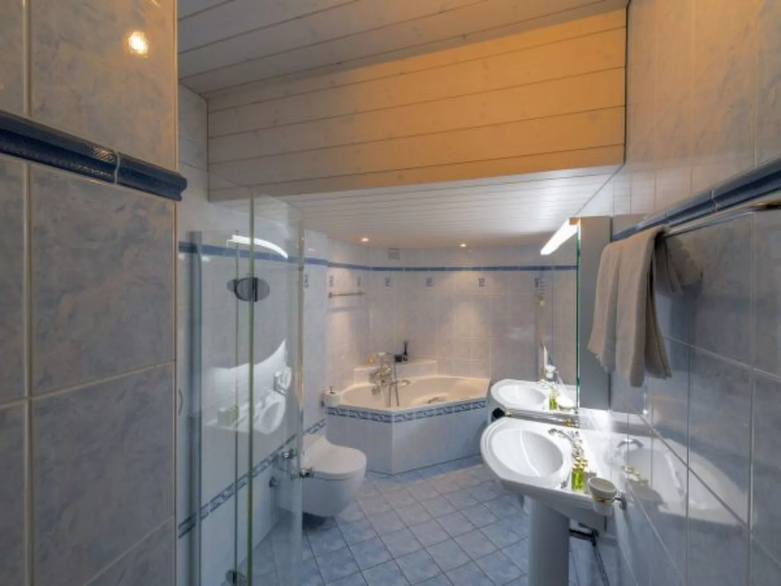 Chalet Hunnenfluh Garden Apartment - Dedans