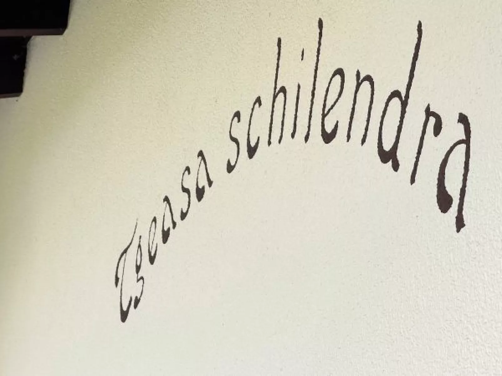 Mit Garten Tgeasa Schilendra-Lantsch/Lenz - Dehors