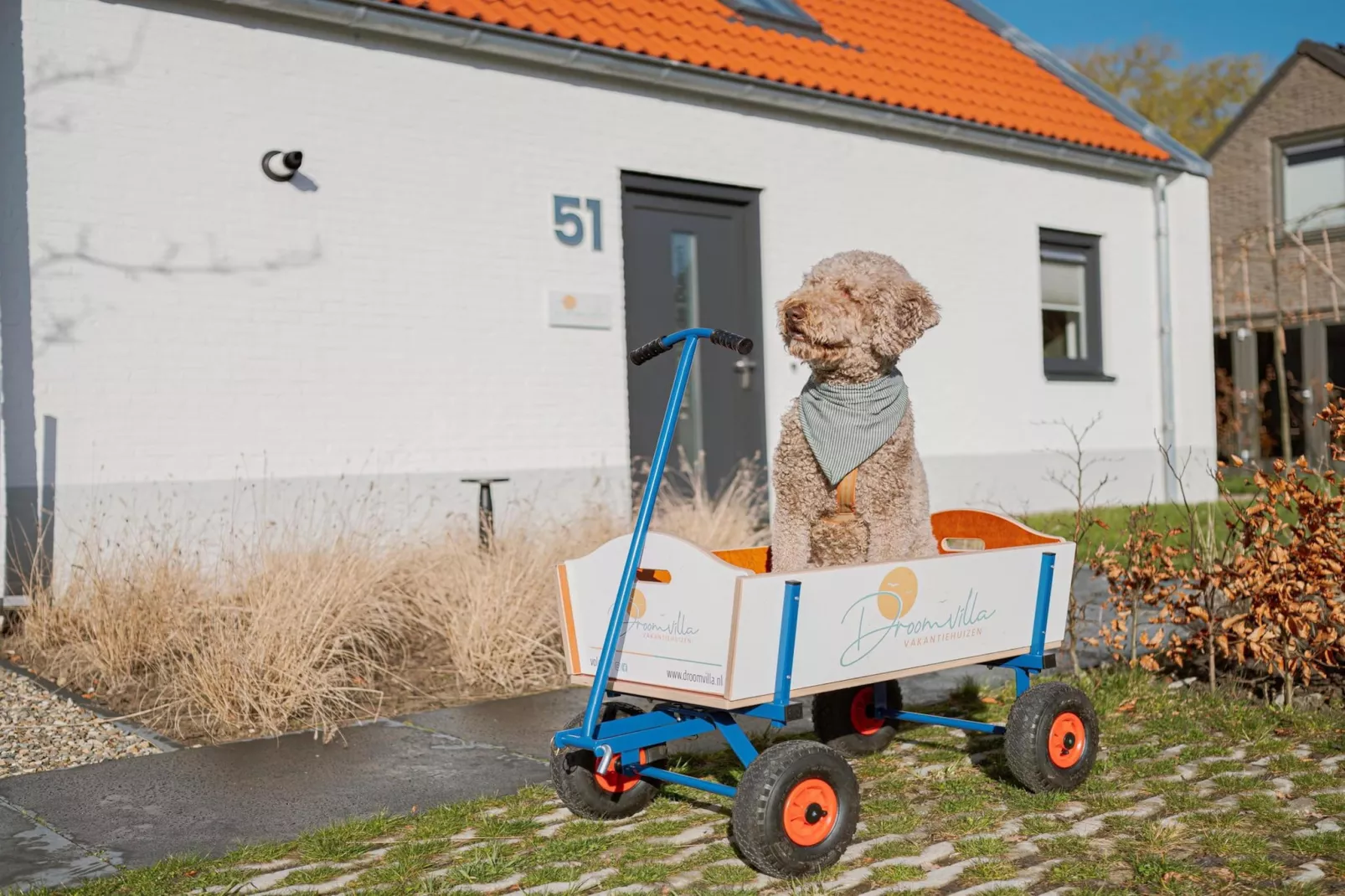 Buiten aan Zee - 54 - Ambiance