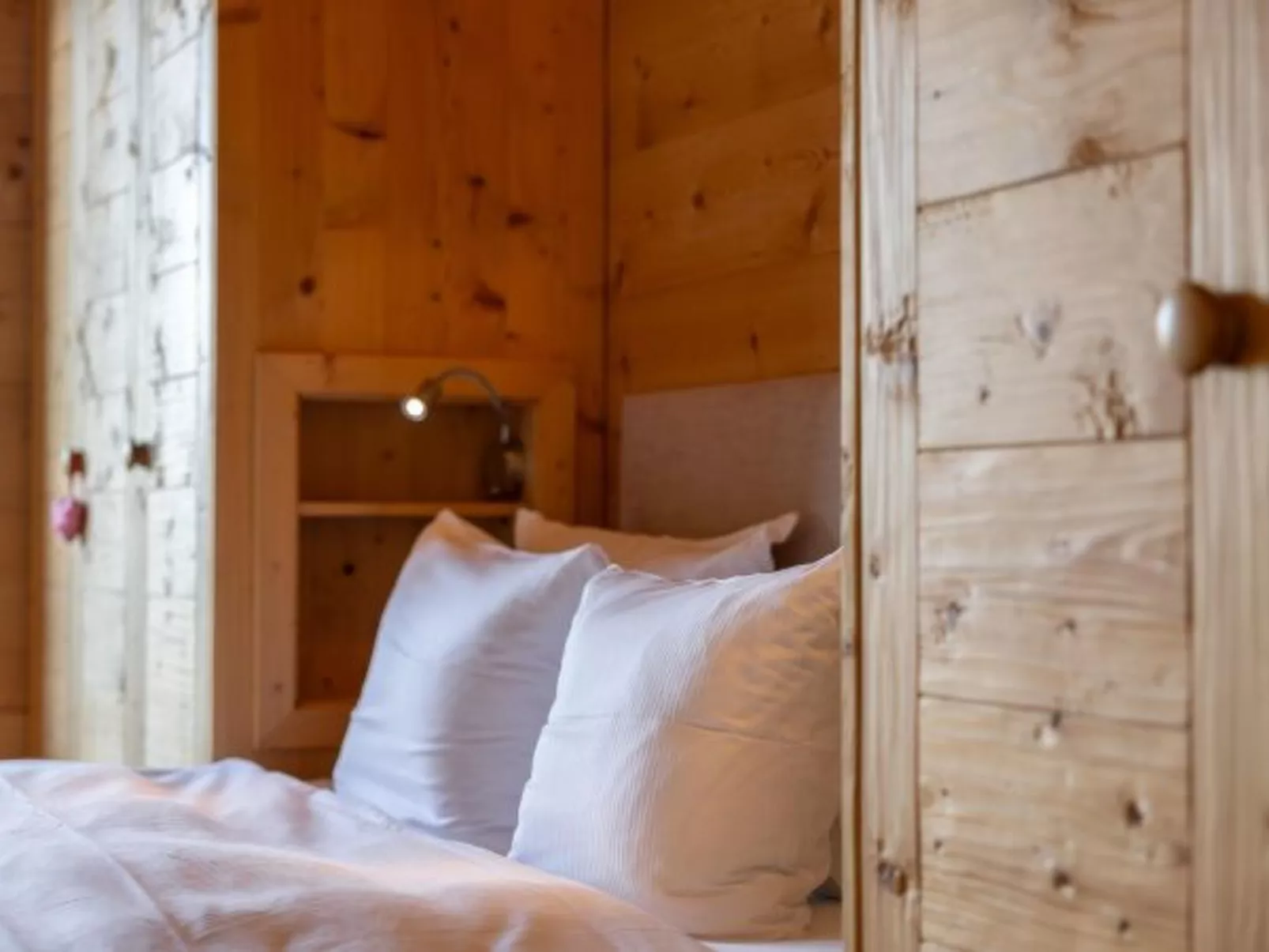 Montagnard 12 - Spa Access - Dedans