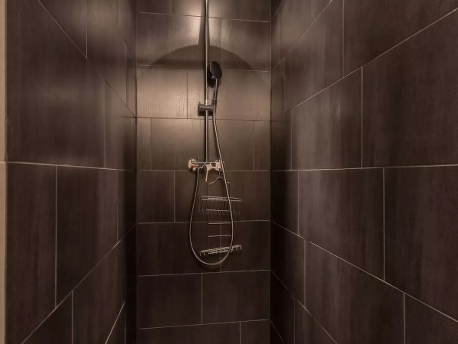 Montagnard 3 - Spa access - Dedans