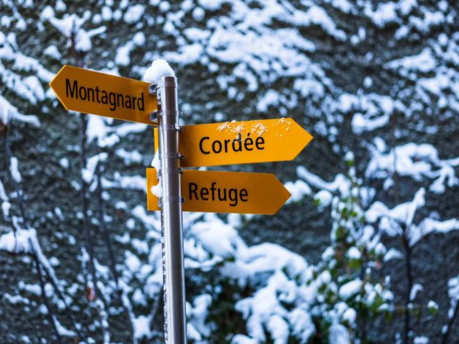 Cordée 3 - Spa access - Dehors