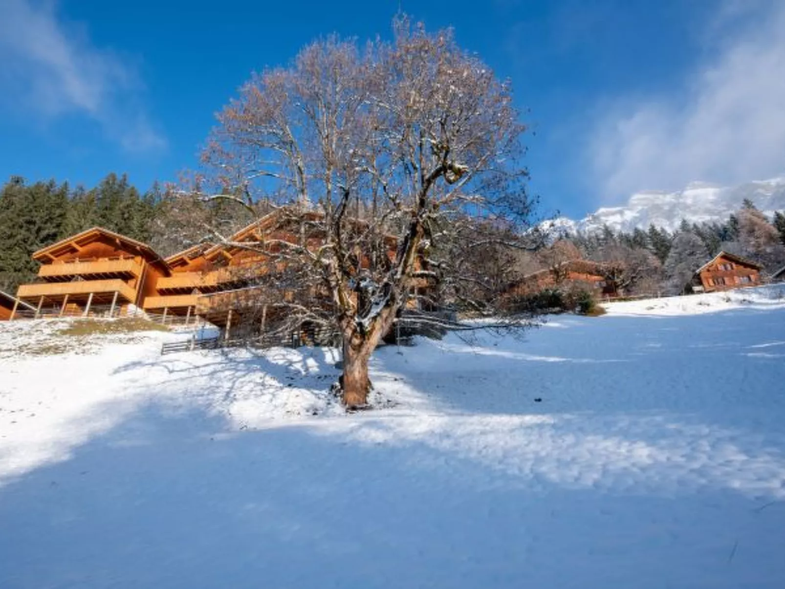 Racers Retreat 10 - Dehors