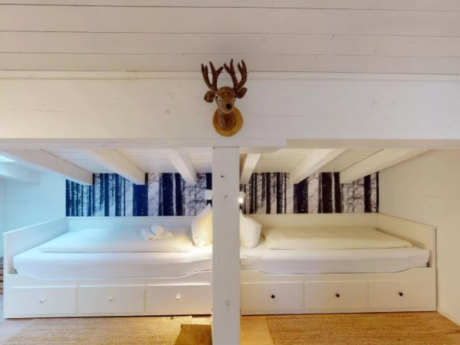 Luscheina in Valbella Ski-in/Ski-out - Dedans