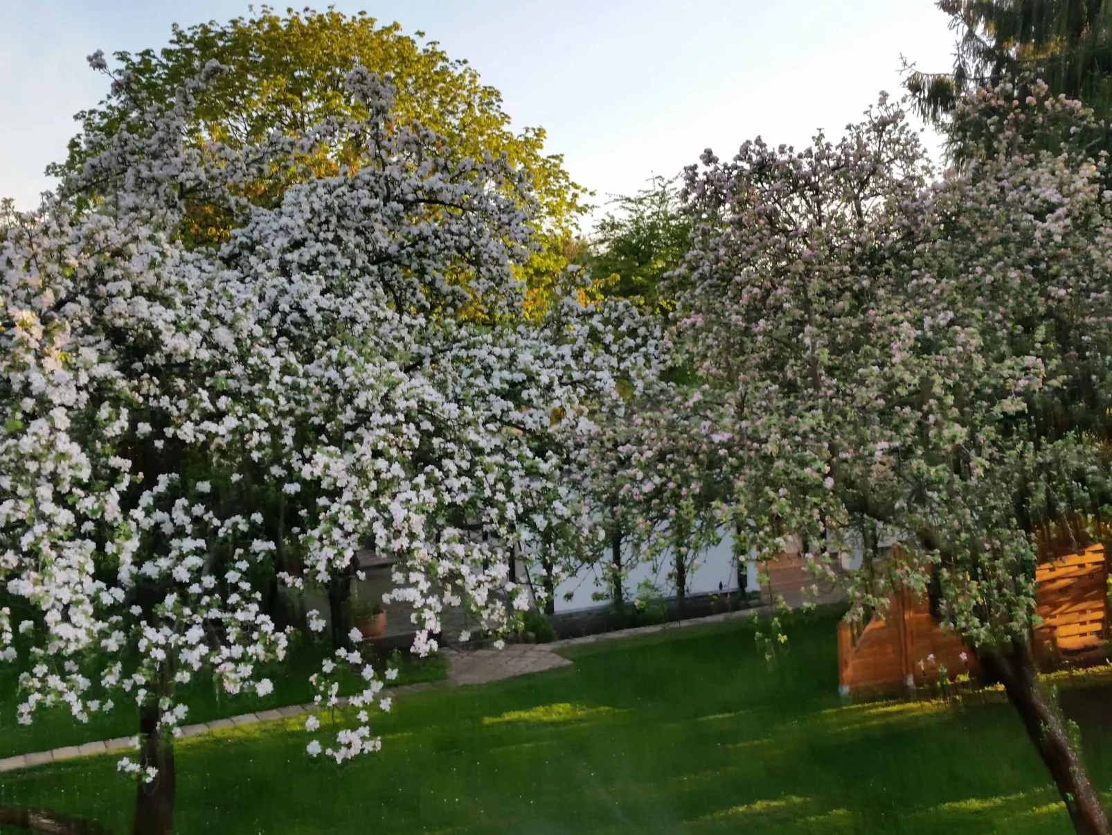 Feienhaus Gregor - Draußen