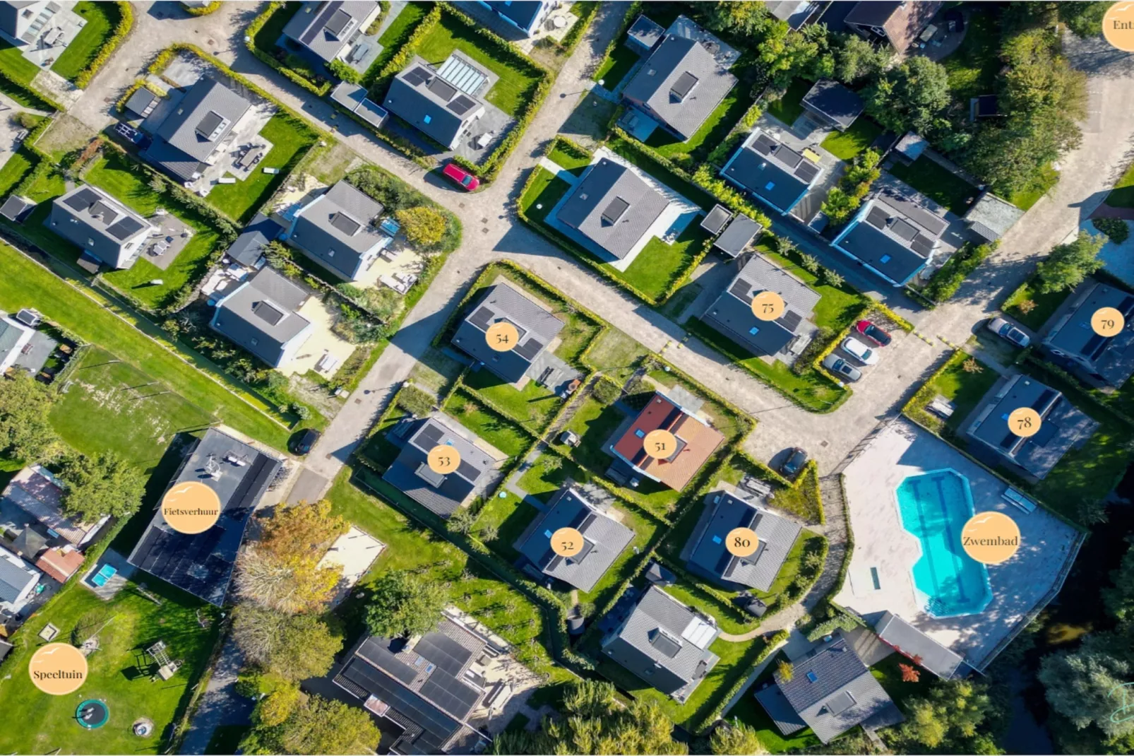 Dromen in de duinen - 51 - Areas within 5km in summer