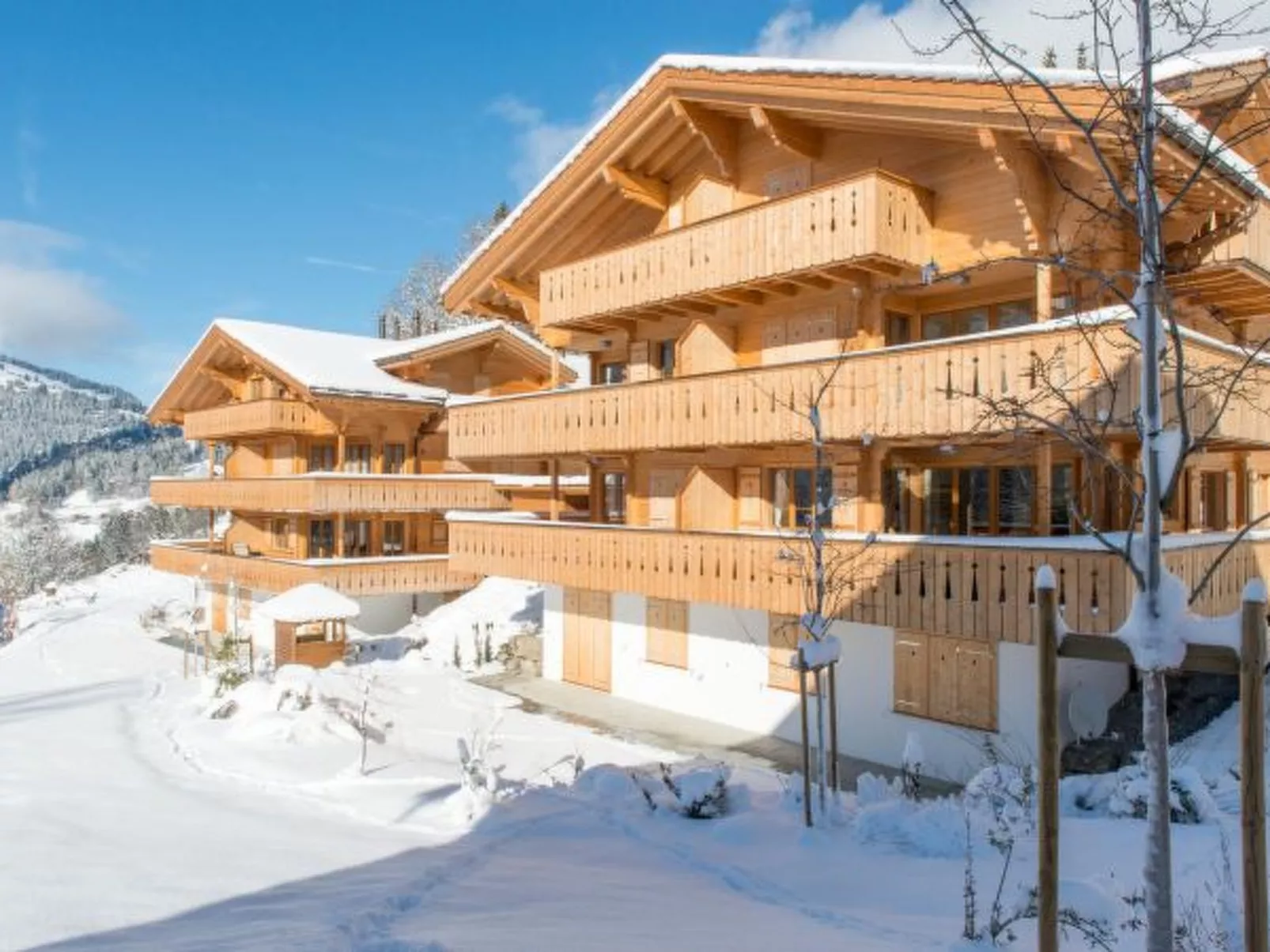 Panoramapark Soleil Bietenhorn Garden Apartment - Draußen