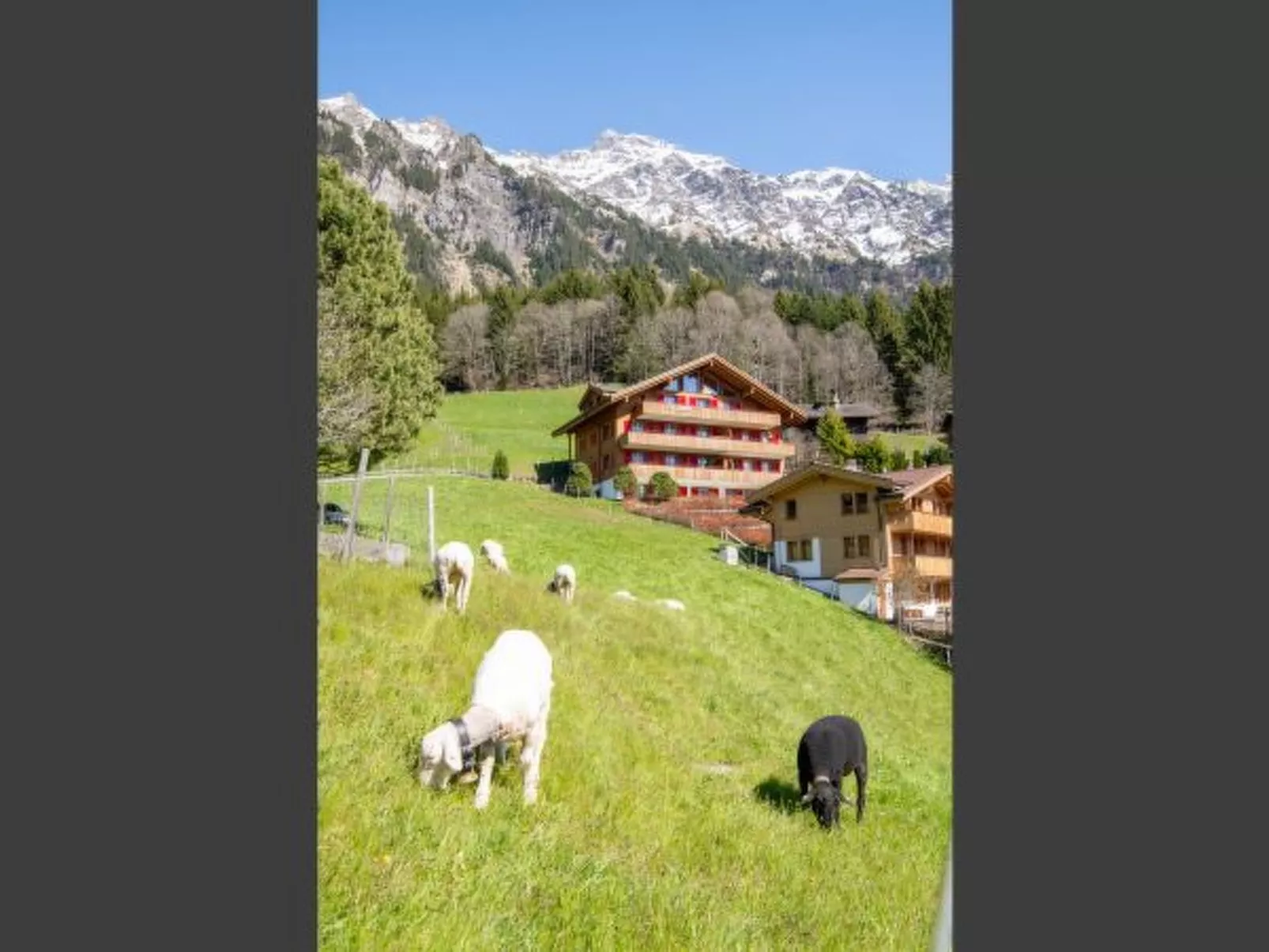 Chalet Bärgsunna - Outside