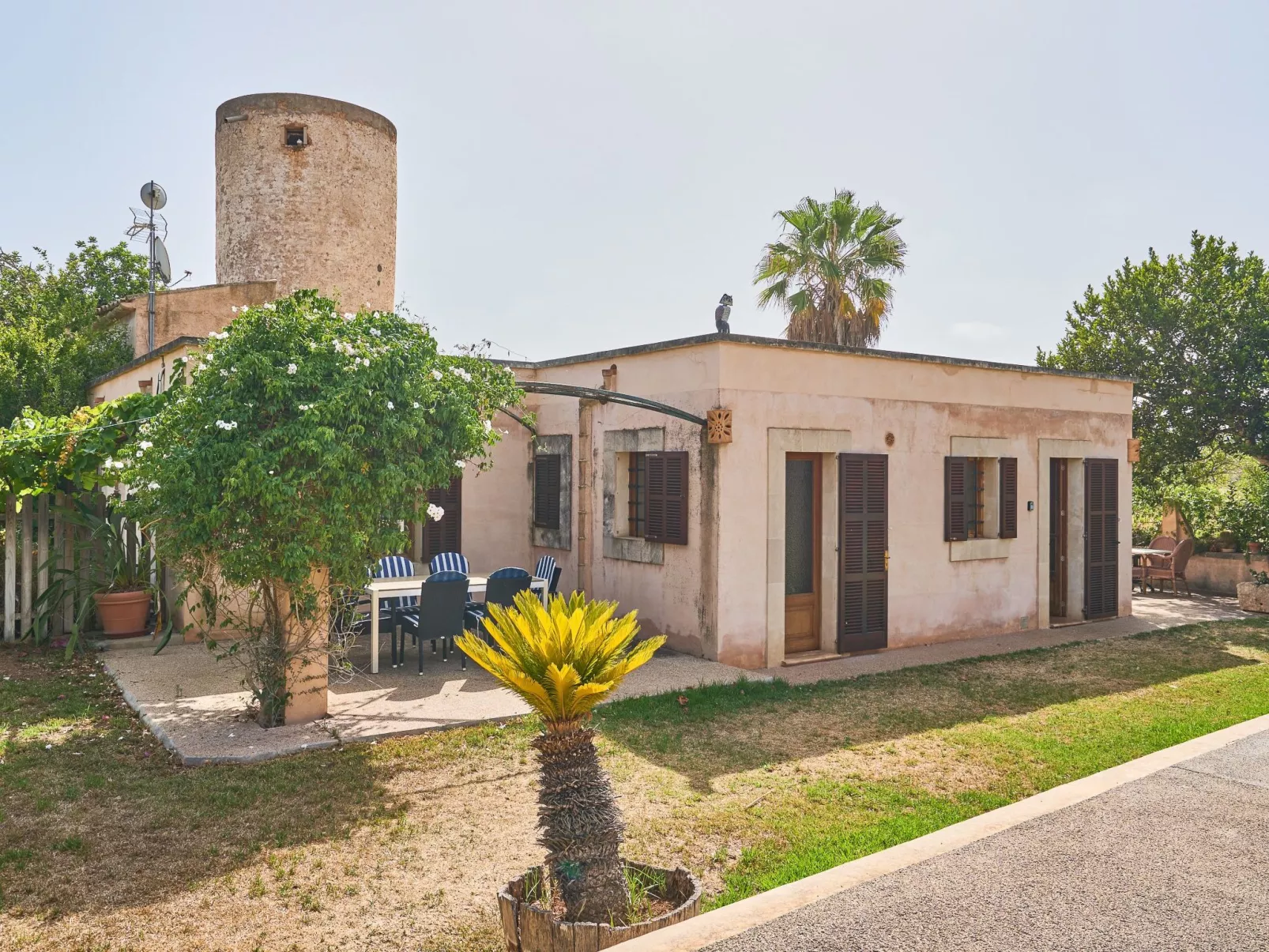 Moli den Cavea - Image-tags.info