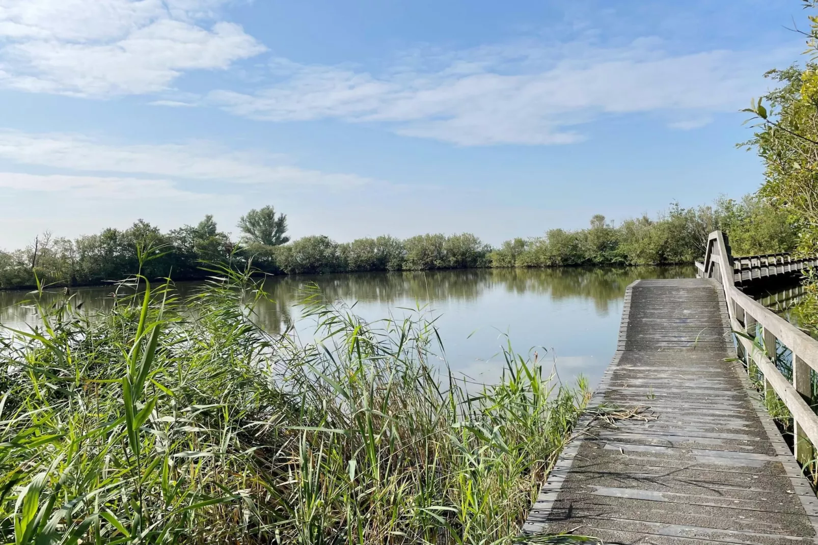 Hip in Sint Maarten - 79 - Zones été à 5 km