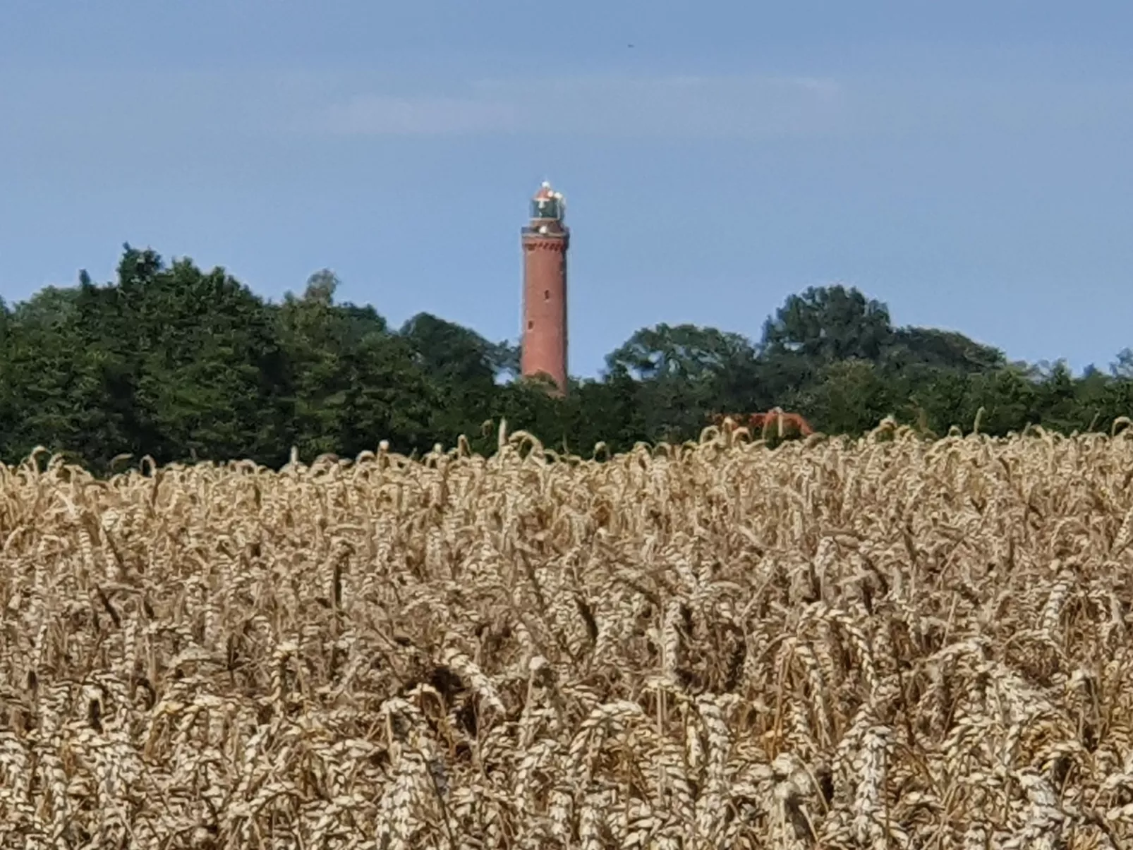 "Ferienwohnung" mitten im Grünen - Draußen
