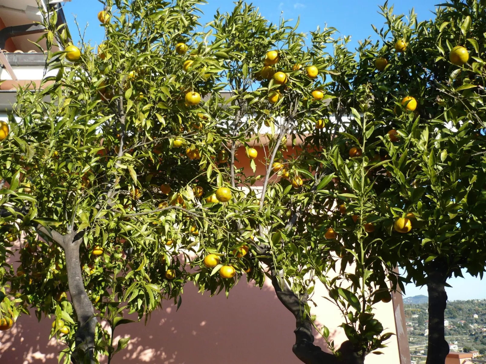 Cottage 'Red 5' mit Blick aufs Wasser - Image-tags.info