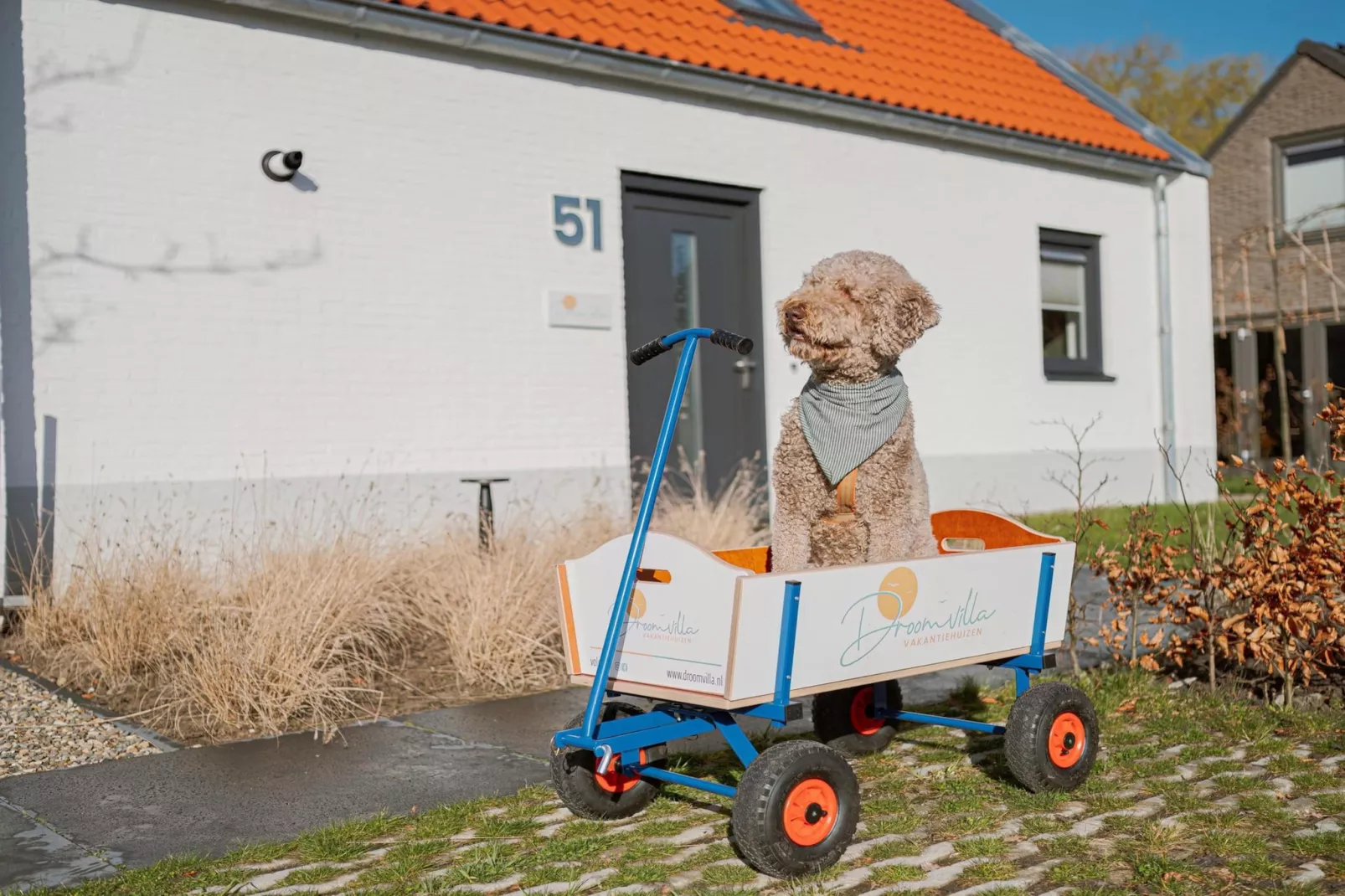 Dromen in de duinen - 51 - Ambiance