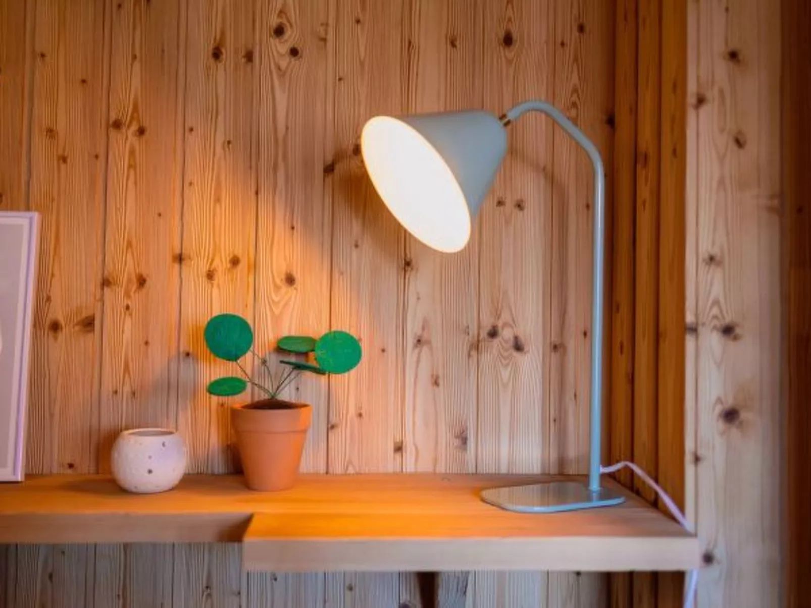 Chalet La Chenevière - Inside