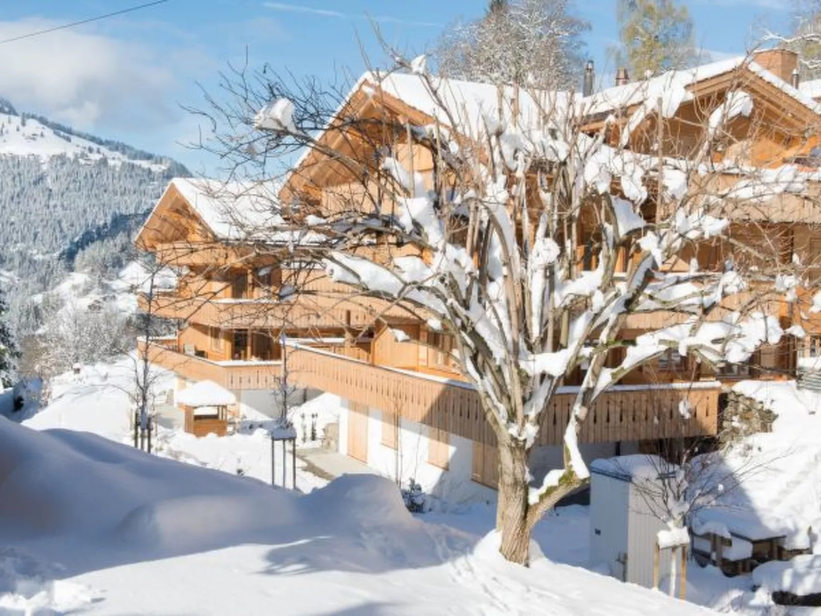 Panoramapark Soleil Camelia Apt. Akroyd - Draußen