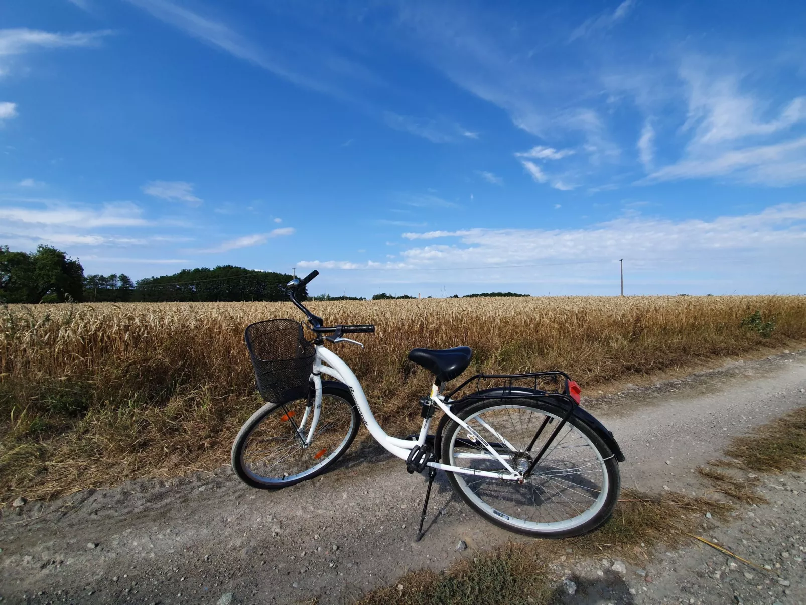 "Ferienwohnung" mitten im Grünen - Draußen
