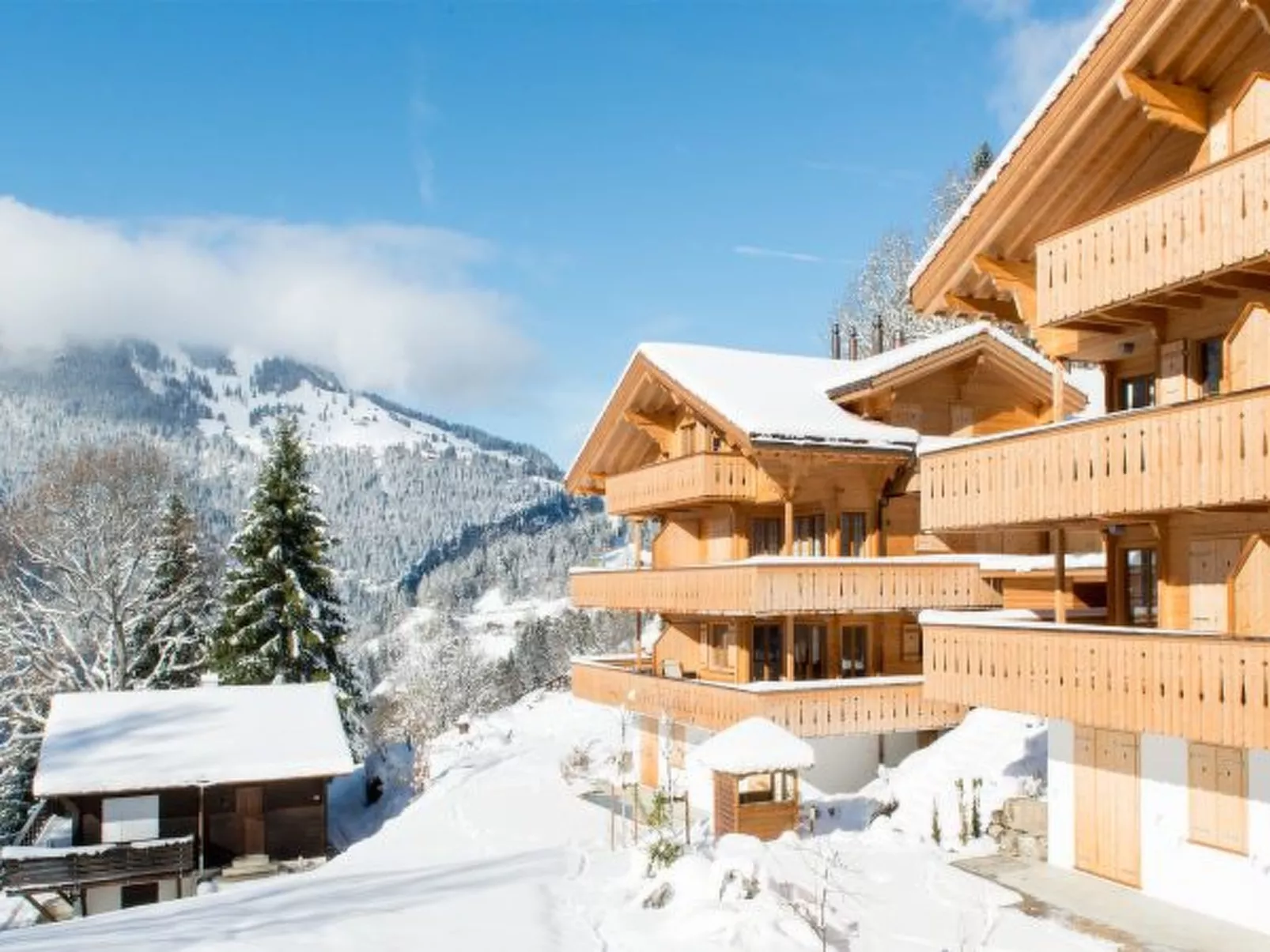 Panoramapark Soleil Alpenaster - Draußen