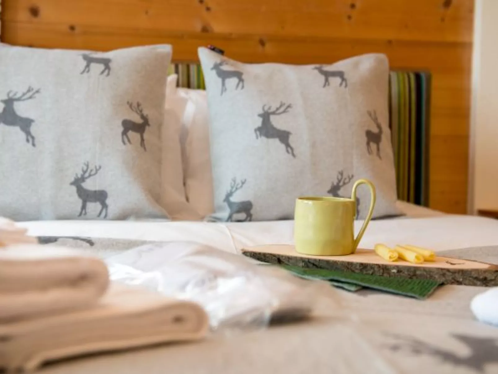 Chalet Sole Apt. 2 - Dedans