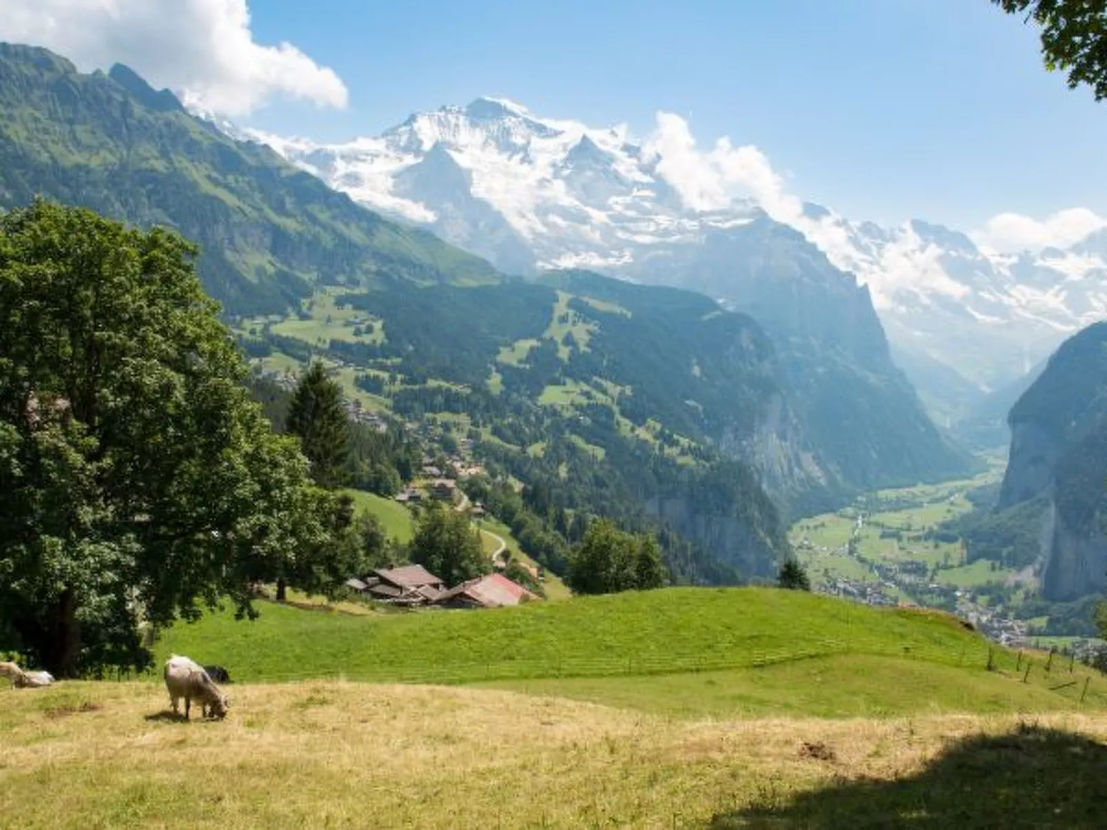 Chalet Hunnenfluh Garden Apartment - Dehors