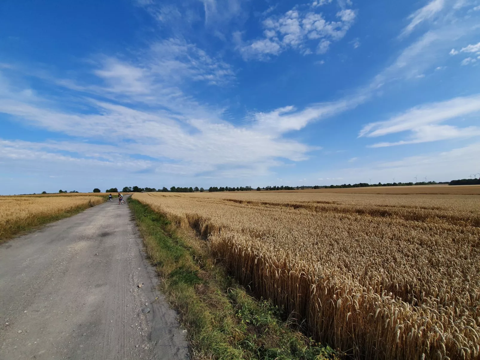 "Ferienwohnung" mitten im Grünen - Draußen