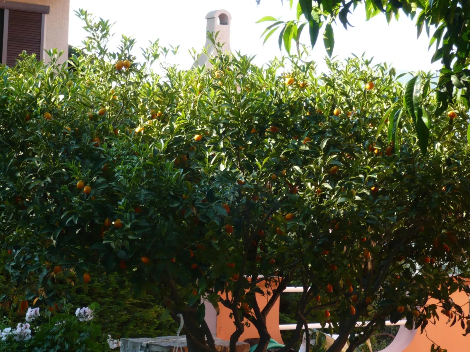 Cottage 'Red 5' mit Blick aufs Wasser - Image-tags.info