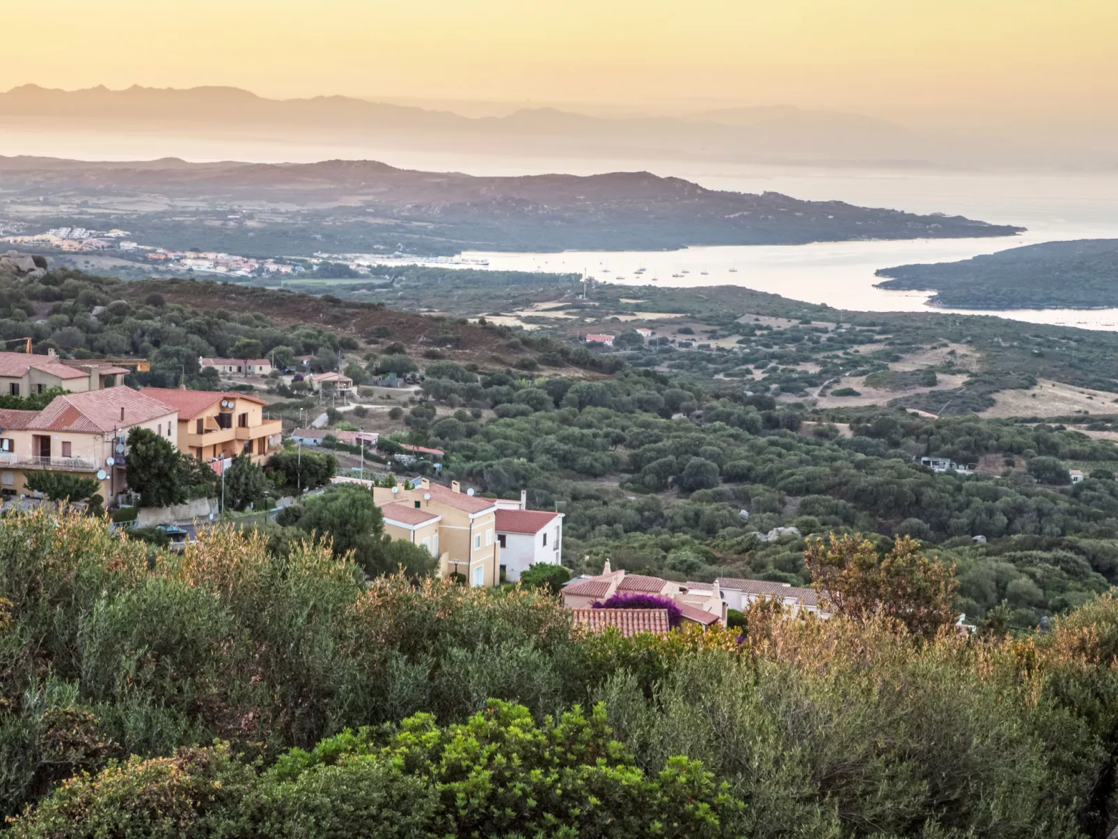 Grazioso poseidone - Draußen