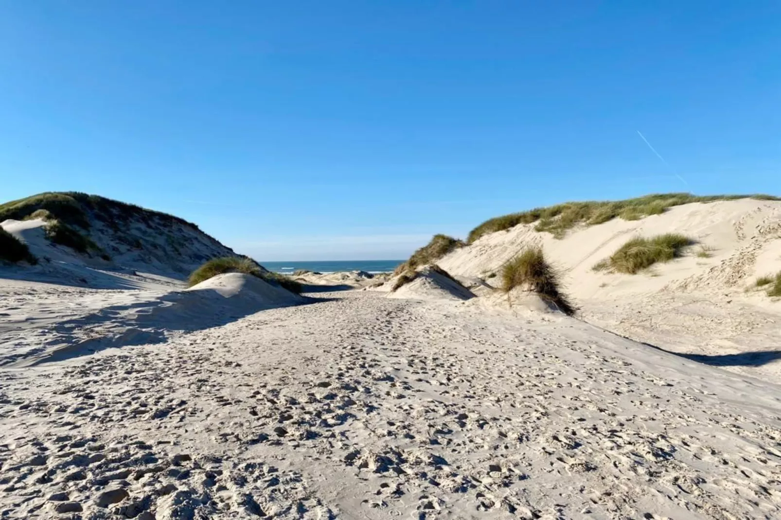 Relaxen aan de kust - 52 - Areas within 5km in summer